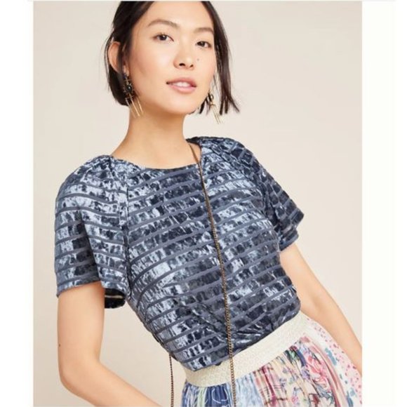 Anthropologie Tops - Geneva Velvet Tee by Sunday in Brooklyn from Anthropologie - Size Small